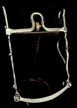 Load image into Gallery viewer, #14 Modified Mexican Frog
